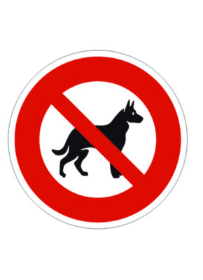Chien loup noir