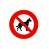 Chien loup noir
