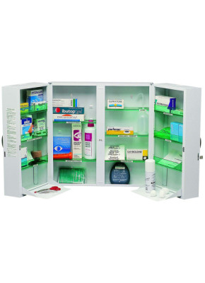 ARMOIRE PHARMACIE 2 PORTES