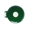 RAL 6005