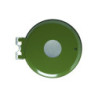 RAL 6003