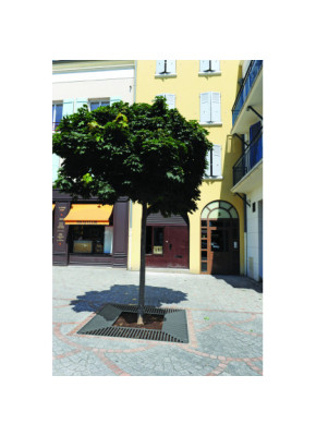 GRILLE D'ARBRE SILAOS