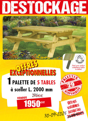 5 TABLES PIQUE-NIQUE BOIS CANADA