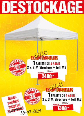 LOT DE 4 OU 8 ABRIS FESTIFS 300 X 300 CM