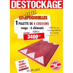 4 COUSSINS BERLINOIS ROUGES