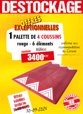 4 COUSSINS BERLINOIS ROUGES