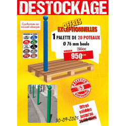 20 POTELETS BOULE