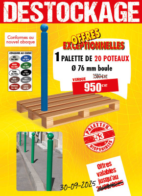 20 POTELETS BOULE
